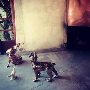 Meet your Posher, Alyce